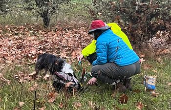 Book Intermediate Truffle Hunting Class
