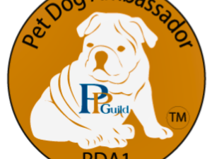 Book Ready, Pup, Go! Foundations – PDA Level 1