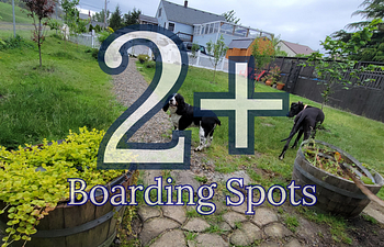Book (2+) Overnight for two or more dogs