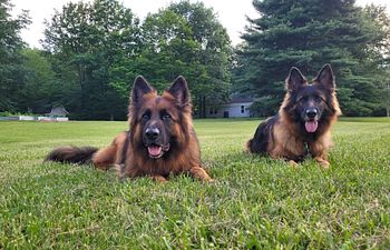 Book 15 Minute Drop In Visits