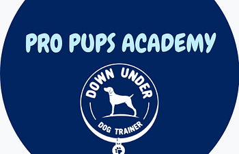 Book Pro Pups Academy - Social Skills Class