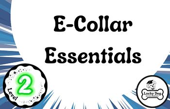 Book Level 2 | E-Collar Essentials  