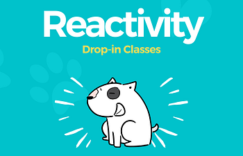 Book Reactivity Drop-In - PREVIOUS OR EXISTING CLIENTS ONLY