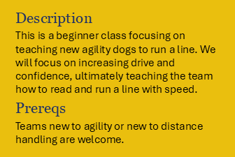 Book Foundations of Distance Handling - Drop In