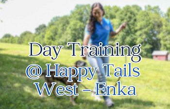 Book Day Training @ Happy Tails East (Enka)