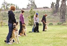 Book Resolving Reactivity Outdoor Group Class