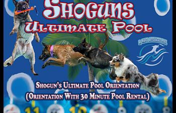 Book Shogun's Ultimate Pool Orientation (Orientation With 30 min Pool Rental)