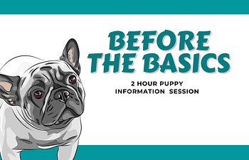Book Before the Basics (Zoom Session) - 2h Puppy Information Session