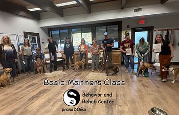 Book Basic Manners