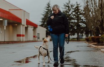 Book Pup Crawl Taster: Leash  Walking & Leave It