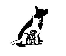 Performance K9