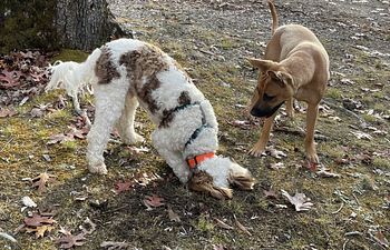 Book Group - Souly Sampler (4 Weeks)