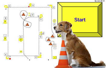 Book Rally Obedience: Introduction to Rally
