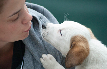 Book Puppy & Me Preschool (Open Enrollment - Start Any Week)