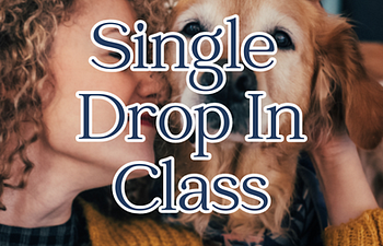 Book Drop In Class - Basic Training
