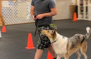 Book Rally Class Waitlist (prerequisite is Sports Prep Class)