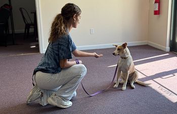 Book Prep School: Puppy Path