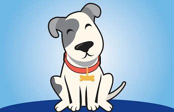 Book Intermediate Obedience - Santa Maria Campus