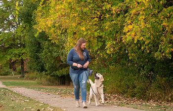 Book Leash Manners 