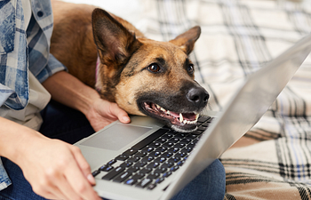 Book Virtual Training Session