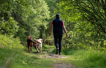 Book Follow-up and continuation 1-to-1 session (Thursdays in Banchory)