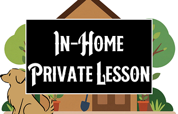 Book In-Home Private Lesson