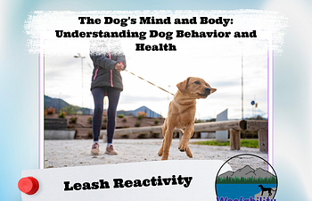 Book The Dog's Mind and Body: Leash Reactivity 