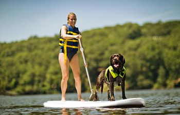 Book Paddleboarding