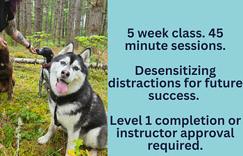 Book Foundation Skills- Level 2: Distractions