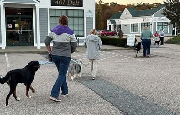 Book Life Skills: Hound About Town