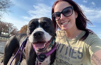 Book Meet The Trainer