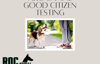 Book AKC Testing 