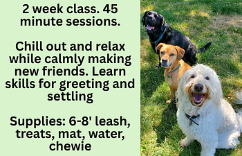 Book Practice session: Greetings & Settle