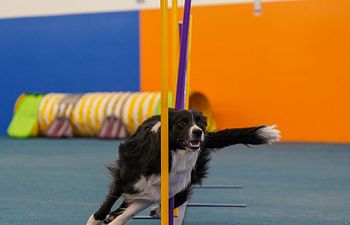 Book Mini Seminar Weave Practice