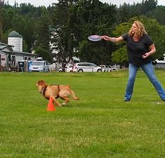 Book Introduction to Disc Dog