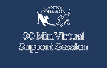 Book 30 Minute Virtual Support Session