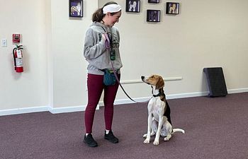 Book Day Program Assessment