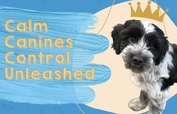 Book Calm Canines - Control Unleashed Foundations