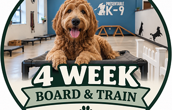 Book 4 Week Board & Train