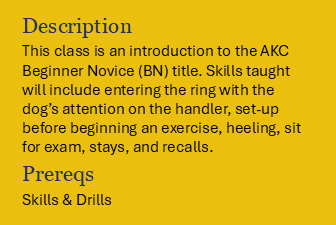 Book Beginner Novice