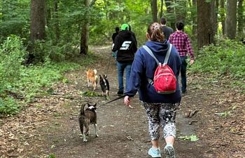 Book AKC Fit Dog Walk