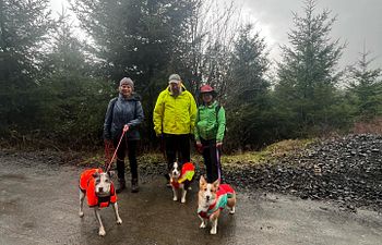 Book Advanced Truffle Hunting Class