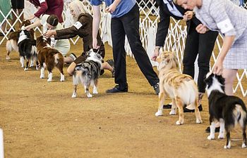 Book Conformation: Foundations and Introduction