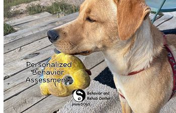 Book 1x1 Behavior Assessment