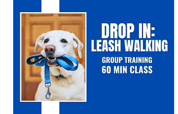 Book Drop In: Leash Walking