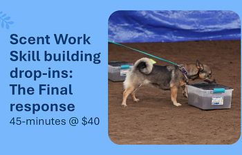 Book Scent Work Drop-In: At Source Skill Building