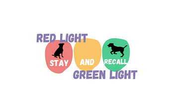 Book Red Light, Green Light: Stay and Recall Training Program Part 2