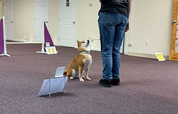 Book Rally Novice/Intro Class