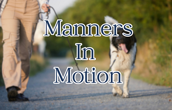 Book Manners In Motion [5 week series]