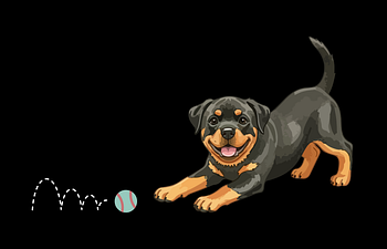 Book Day Board - Small Kennel (under 20 lbs)